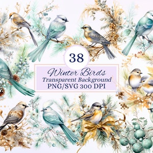 Conjunto de clipart de pássaros festivos de inverno para projetos criativos, design de Natal dourado e prateado, itens efêmeros de pássaros festivos, ilustração em aquarela, PNG SVG