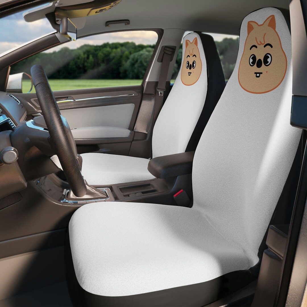 Stray Kids Car Seat Cover SKZOO Car Accessories Kpop Han Quokka Etsy