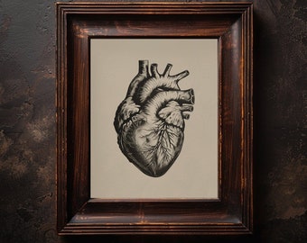 Human Heart Print Anatomical Heart Printable Vintage Heart Anatomy Illustration for Medical Office Wall Decor Gothic Eclectic Wall Art Print