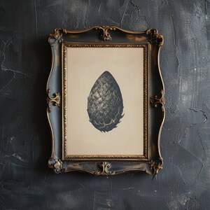 May include: A black and white illustration of a pine cone in a black and gold ornate frame.