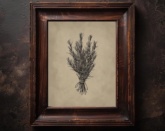 Rosemary Wall Art Printable Vintage Rosemary Kitchen Print Herb Illustration Wall Print Gothic Botanical Herb Poster Art For Vintage Kitchen
