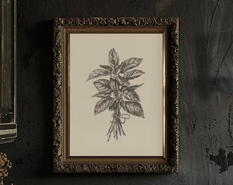 Basil Bunch Printable Wall Art, Vintage Botanical Basil Artwork, Moody Herb Sketch Art, Classic Cooking Kitchen Poster, Organic Herbs Print