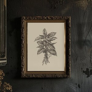 May include: A framed black and white botanical illustration of a plant with leaves, hanging on a dark wall above a wooden table with a vase of dried flowers, a gold metal pitcher, and a gold metal decorative stand.