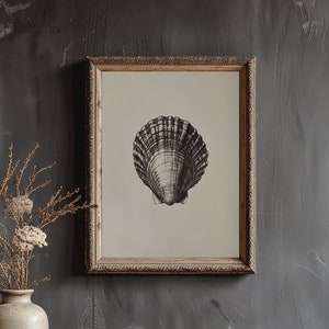 Puede incluir: Una impresión enmarcada de una ilustración en blanco y negro de una concha marina sobre un fondo beige claro. El marco es de madera marrón oscuro con un borde decorativo. La impresión está colgada en una pared gris oscuro.