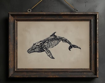 Vintage Whale Skeleton Art Printable Whale Anatomy Illustration Nautical Marine Animal Poster Whale Wall Art for Coastal Bathroom Wall Decor