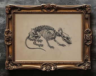 May include: A framed illustration of a rat skeleton in a gold ornate frame. The rat skeleton is depicted in a detailed anatomical drawing style.