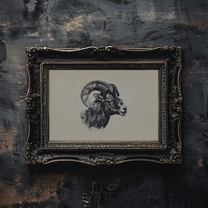 May include: A black and white illustration of a ram's head with large horns, framed in a dark ornate frame against a textured dark gray background.