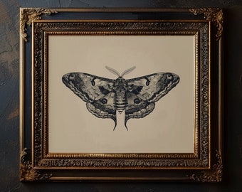vintage papillon de nuit impression d'art papillon de nuit gothique imprimable insecte entomologie croquis illustration de papillon de nuit sombre pour impression d'art mural éclectique papillon de nuit