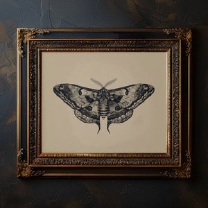 Vintage Moth Art Print Gothic Moth Printable Insect Entomology Sketch Dark Moody Moth Illustration for Eclectic Wall Art Moth Poster Print