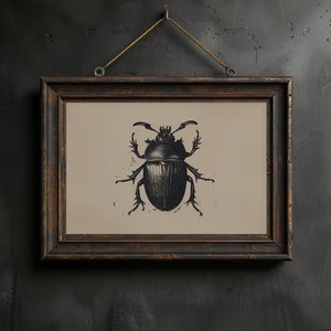 Beetle Sketch Wall Art Moody Insect Printable Vintage Scarab Beetle Entomology Drawing Minimalist Beetle Wall Print for Dark Academia Decor