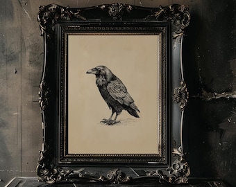 Gothic Raven Wall Art Printable Vintage Black Raven Illustration Moody Crow Sketch Print Witchy Wall Art Victorian Gothic Room Decor