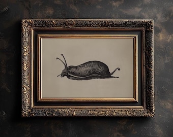 Naaktslak kunst print anatomie naaktslak afdrukbare tuin naaktslak illustratie vintage schets slak muur kunst naaktslak poster kunst voor gotisch eclectisch kamerdecor