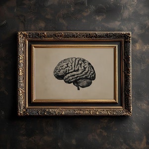 Human Brain Wall Art Printable Brain Anatomy Medical Poster Gothic Sketch of Human Brain Print for Psychologist Office Brain Wall Decor