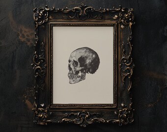May include: A black and white drawing of a human skull in profile, framed in a dark, ornate frame.