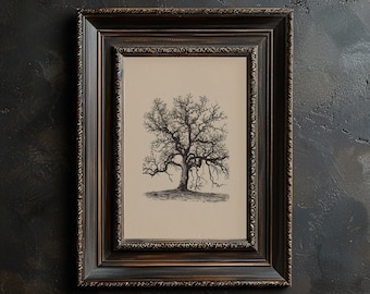 Oak Tree Sketch Printable Vintage Old Oak Tree Wall Art Neutral Oak Tree Illustration Vintage Botanical Wall Art Autumn Oak Tree Wall Print