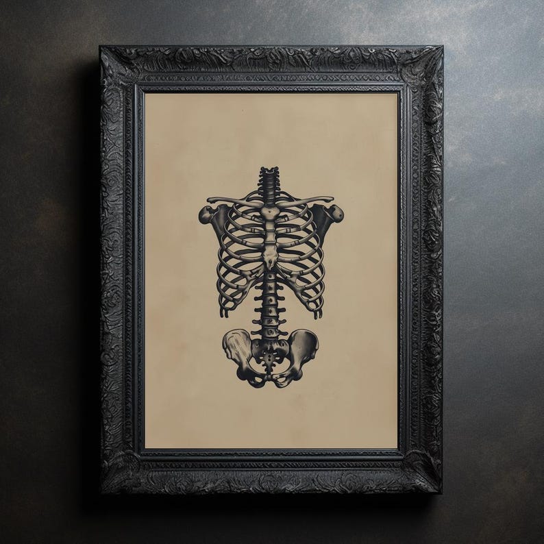 Rib Cage Wall Art Human Anatomy Printable Gothic Ribcage Illustration ...