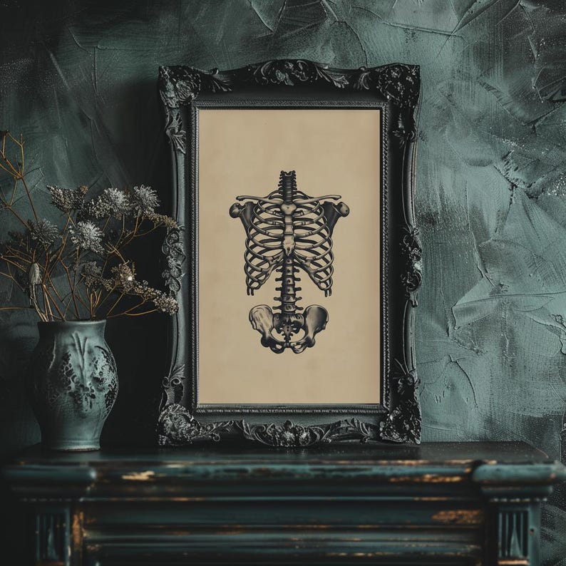 Rib Cage Wall Art Human Anatomy Printable Gothic Ribcage Illustration ...