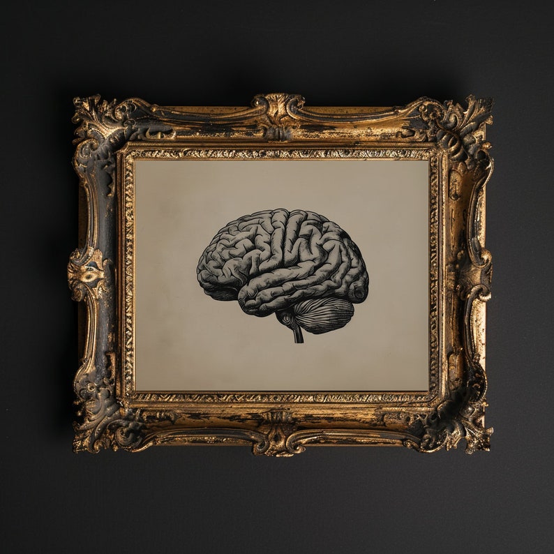 Human Brain Wall Art Printable Brain Anatomy Medical Poster Gothic ...