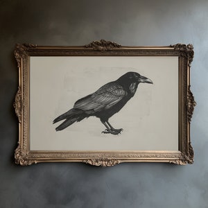 May include: A black and white illustration of a raven in a gold ornate frame. The raven is perched on a branch with its wings spread out.