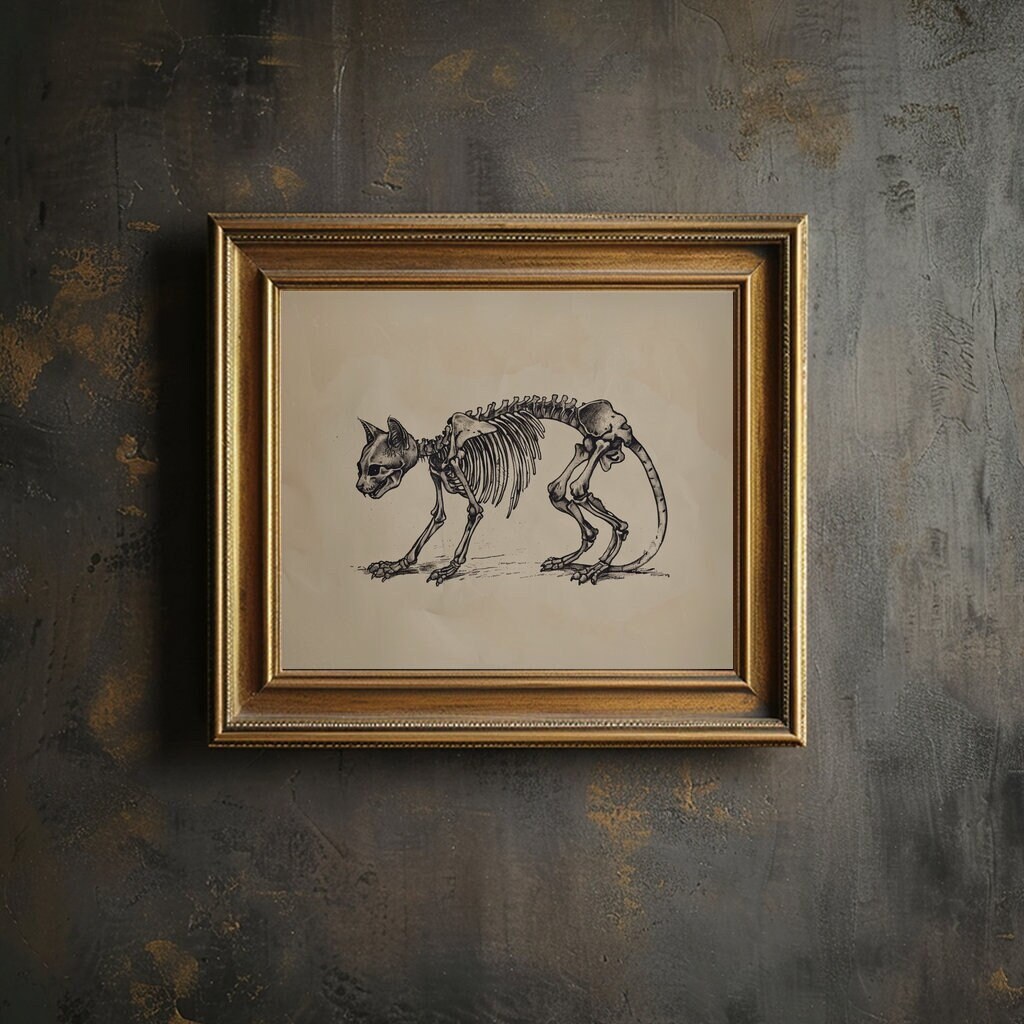 Anatomy Of The Cat" (anatomia Del Gatto) (1991) Fornisce Un'analisi