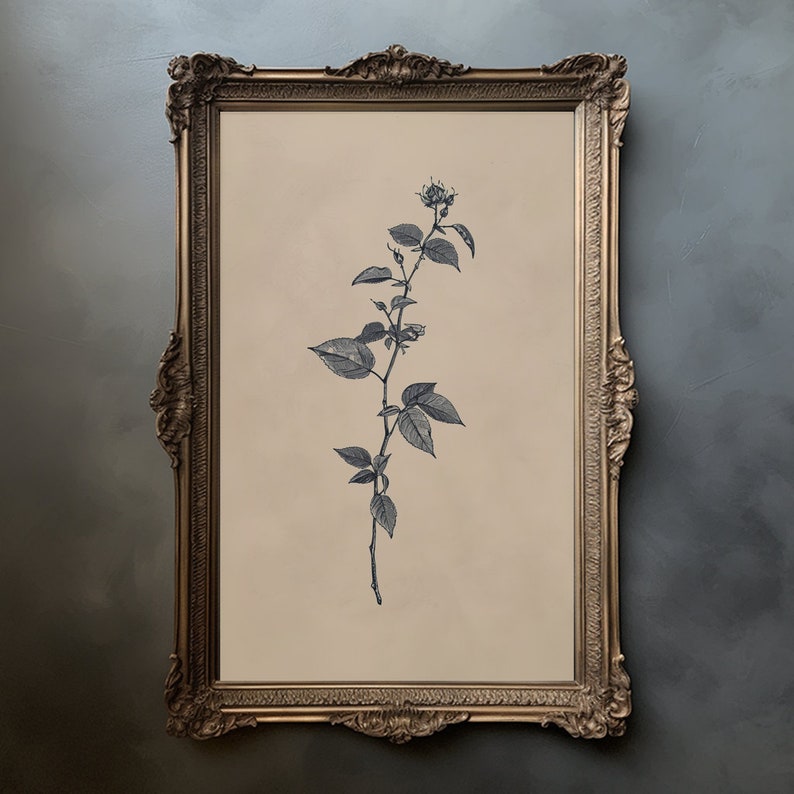 Vintage Poison Ivy Wall Art Printable Poison Ivy Botanical Illustration Drawing Dark Plant ...