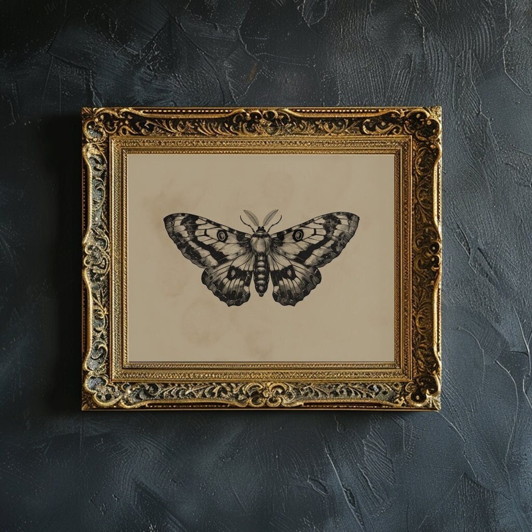 Moth Wall Art Print Vintage Moth Art Printable Dark Moody Insect Wall ...