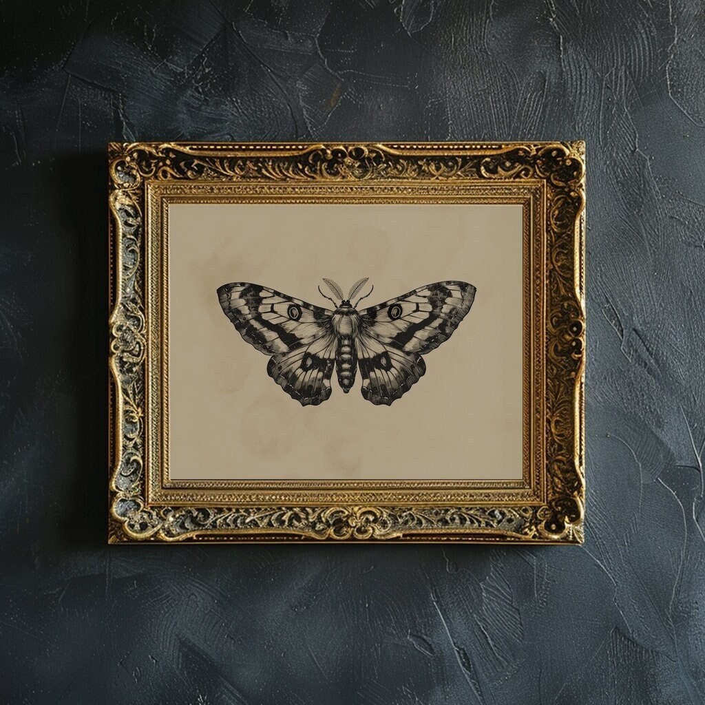 Moth Wall Art Print Vintage Moth Art Printable Dark Moody Insect Wall Poster Botanical Moth Entomology Sketch Gothic Eclectic Wall Decor