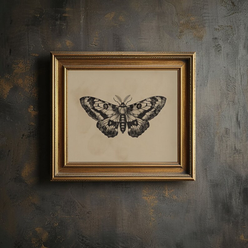 Moth Wall Art Print Vintage Moth Art Printable Dark Moody Insect Wall ...