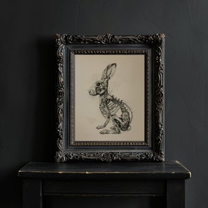 Rabbit Skeleton Printable Wall Art Rabbit Anatomy Poster Halloween ...