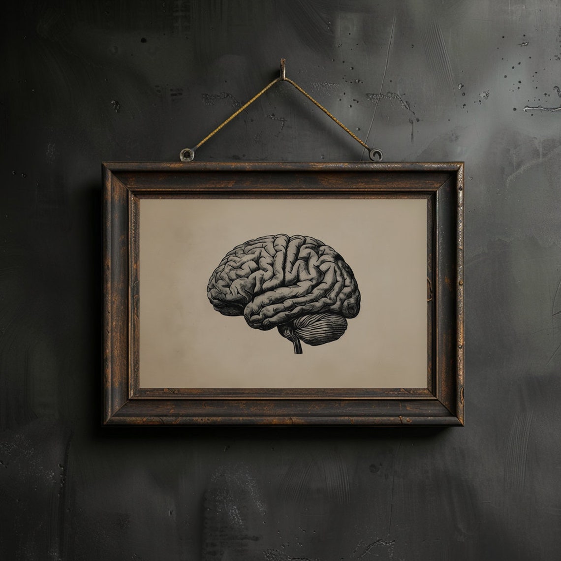 Human Brain Wall Art Printable Brain Anatomy Medical Poster Gothic ...