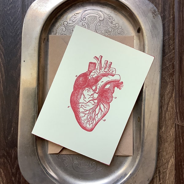Anatomical Heart Cards Set of 10 in Ivory, White, Yellow or Pink with kraft Envelopes