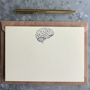 Brain Notecard Set of 12, Correspondence Card Set, Anatomy Card Set