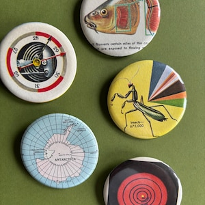May include: A collection of five round buttons with various designs. One button features a fish illustration, another a weather gauge, a third an Antarctic map, a fourth a praying mantis, and the last a red and black concentric circle design.