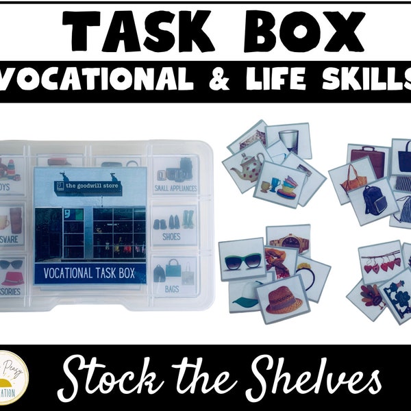 Special Education Task Box| Job Skills Work Box for Life Skills | Vocational Skills | Sorting | Fine Motor | ABA therapy | Autism Task Box