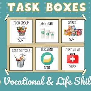 Special Education Task Box | 6 Box DIY BUNDLE | Life Skills & Vocational Sorting Tasks | Activities for Autism | Fine Motor Work Box | ABA