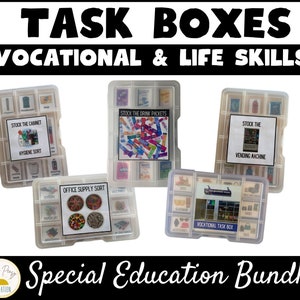 Task Boxes | Special Education Life Skills Activity | Vocational Work Task | Independent Work Task |  ABA | Sorting Box | Fine Motor Skills