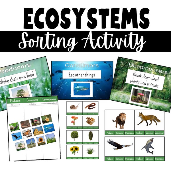 Ecosystems | Producers, Consumers, Decomposers | Food Chain | REAL PICTURES | Functional Academics | Digital Download  | Printable | Science