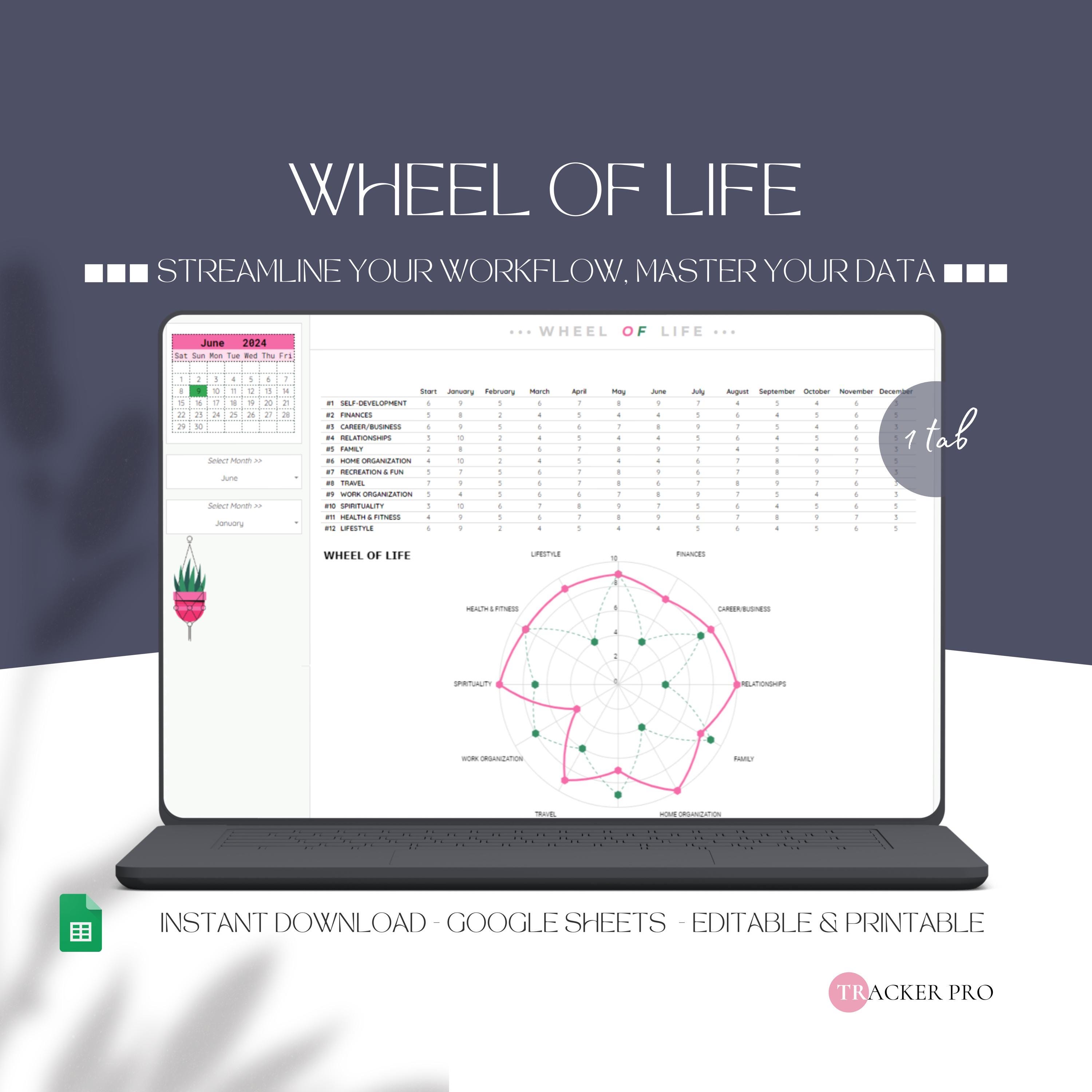 Editable Life Balance Wheel Google Sheets Template, Wheel of Life Workbook, Google Sheets Coaching Template, Wellness Tracker Customizable