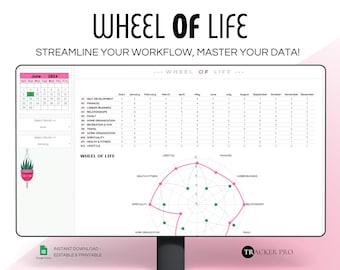 May include: A computer screen displaying a pink and green wheel of life chart with a calendar and a table. The chart is labeled "Wheel of Life" and has categories such as "Health & Fitness", "Spirituality", "Work Organization", "Relationships", "Family", "Career/Business", "Finances", and "Lifestyle". The calendar shows the month of June 2024. The table has columns for each month of the year and rows for each category on the wheel of life chart.