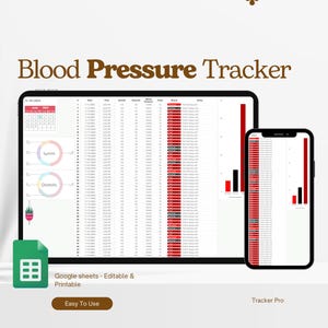 Blood Sugar Log Google Sheets Template, Type 1 Diabetes Log, Excel Type 2 Diabetes Log, T1D Blood Sugar Journal, Diabetic Glucose Log