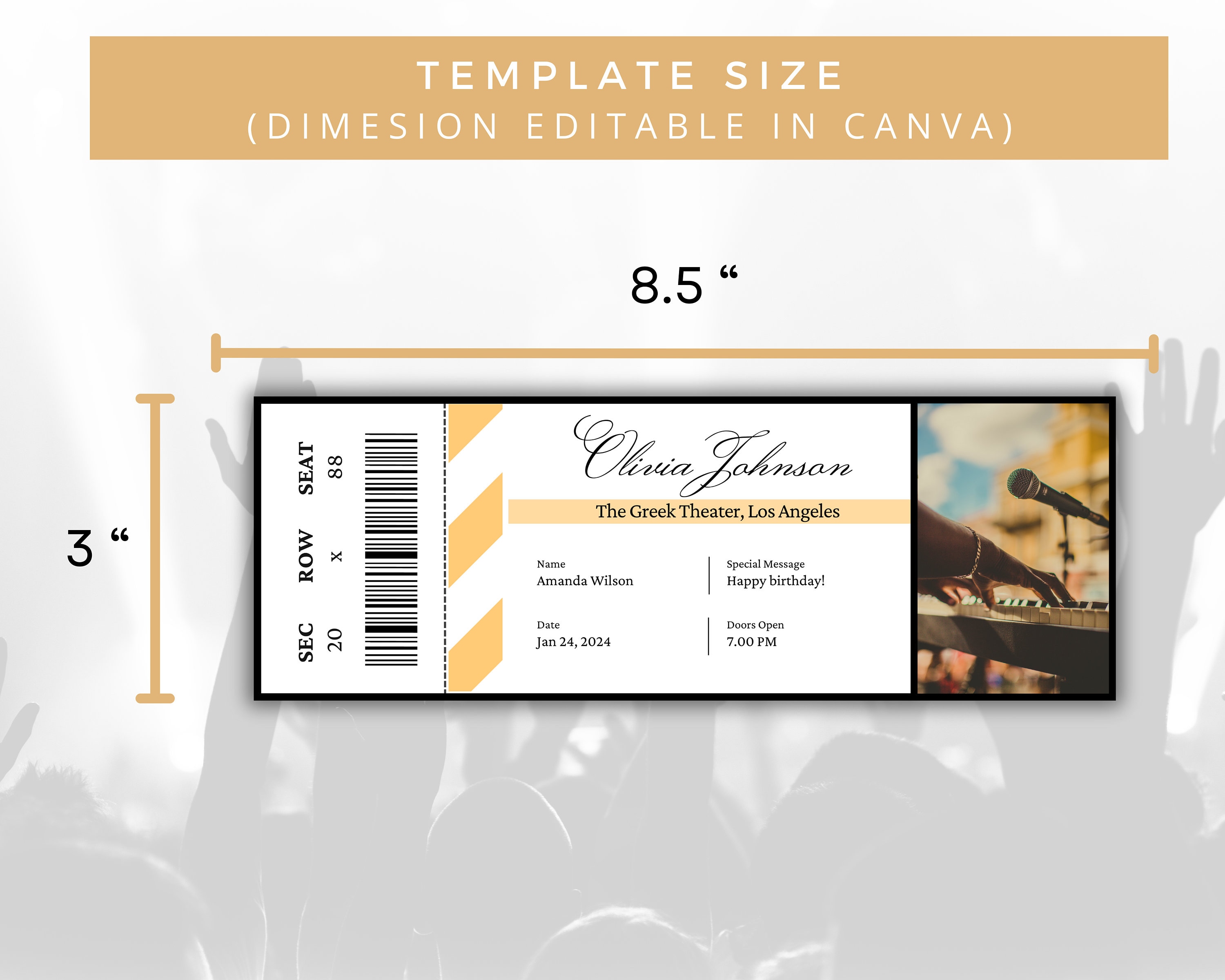 Editable Concert Ticket Template, DIY Event Ticket, Custom Concert ...