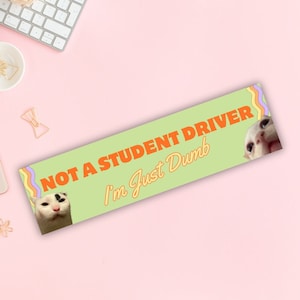 Cat Meme Bumper Sticker and Funny Bumper Magnet Gen Z, Cat Car Sticker Decal for Women, Car Decor Aesthetic, Stocking Stuffer for Adults