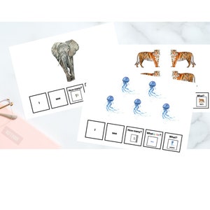 Animal Sentence Building