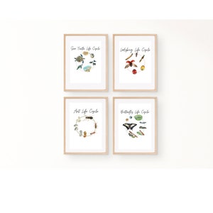 Life Cycle Bundle