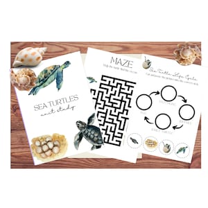 Sea Turtles Unit Study Montessori Homeschool
