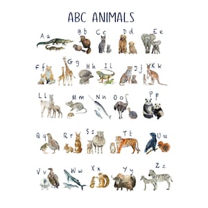 May include: A colorful alphabet chart featuring watercolor illustrations of animals, each letter paired with an animal starting with that letter.  The letters are written in blue and the animals are depicted in a realistic style.