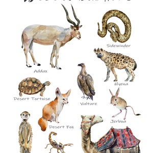 Desert Animals Digital Print