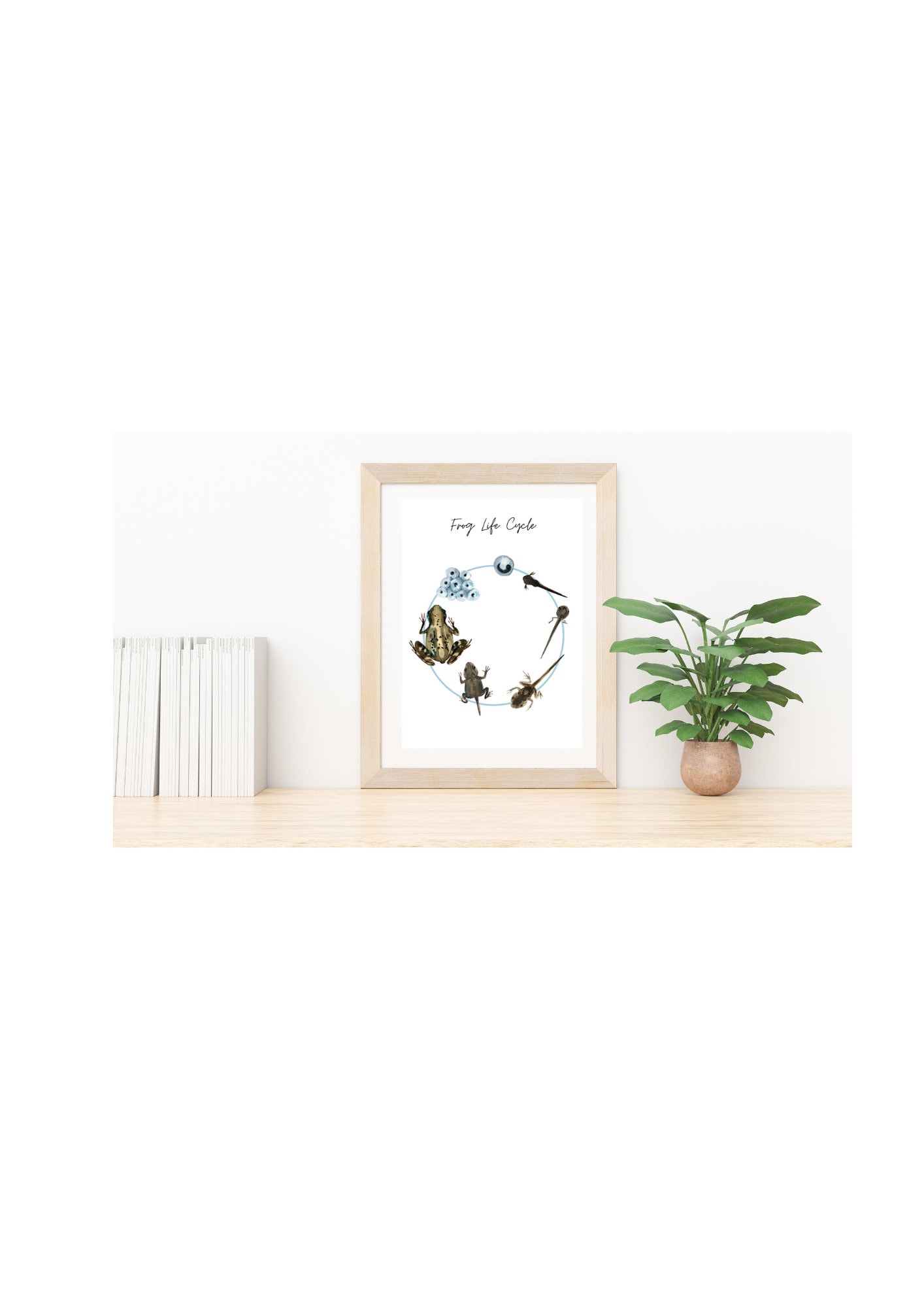 Rae Dunn Frog Life Cycle Framed Print