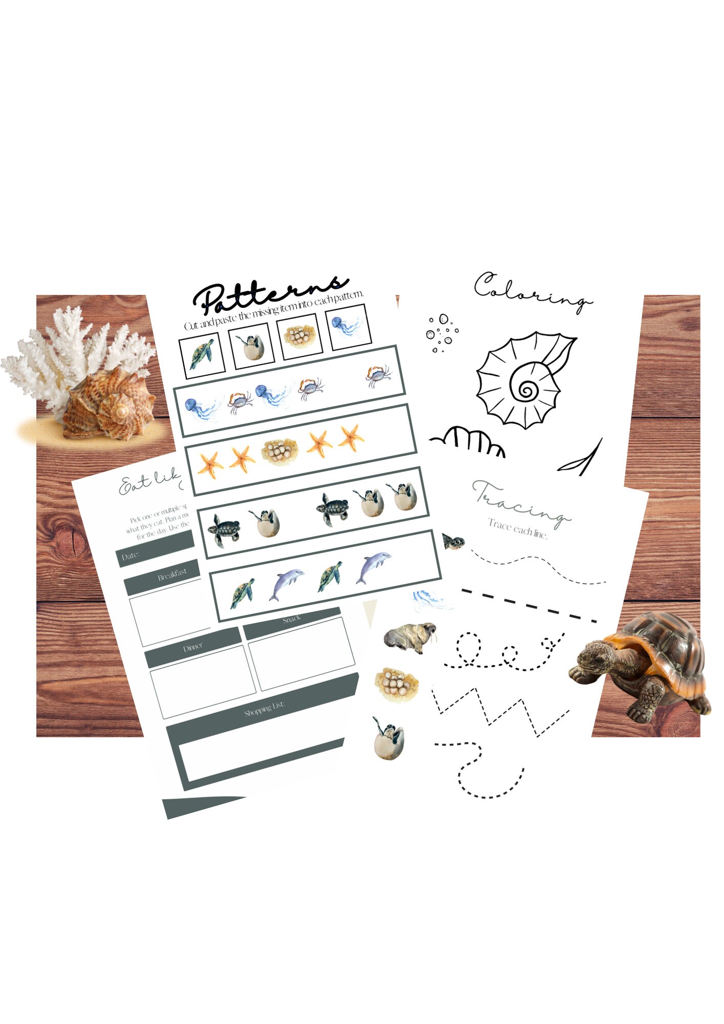 Sea Turtles Unit Study Montessori Homeschool - Etsy