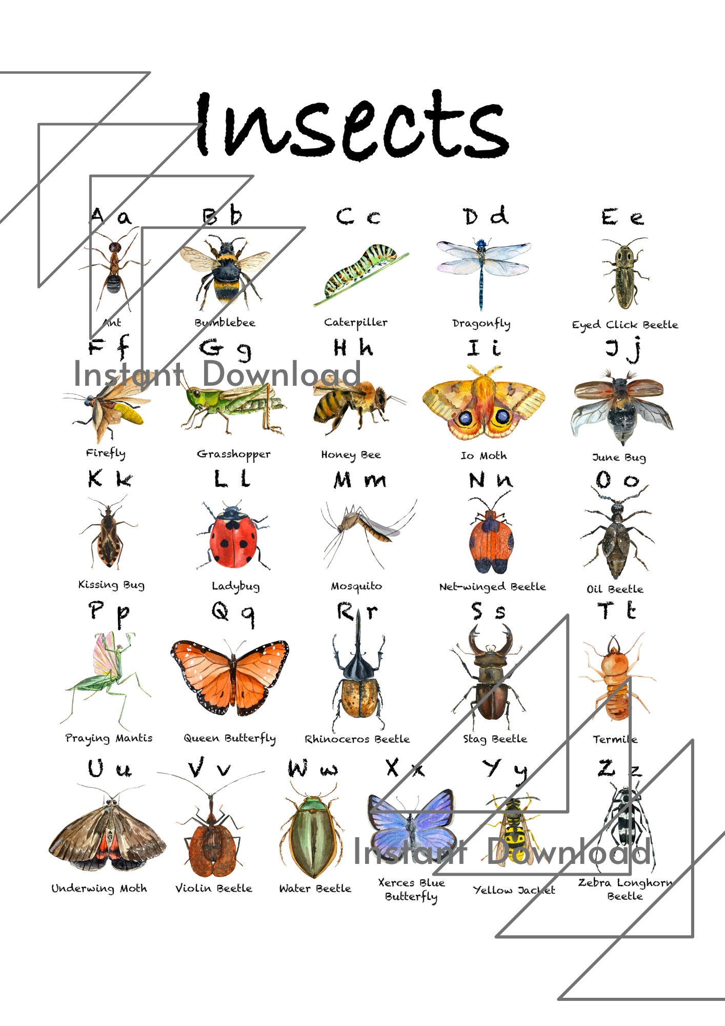 Insect Alphabet Printable Art Etsy